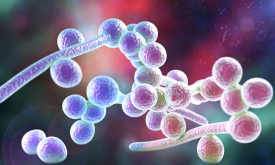 Is There a Link Between Fungal Infections and Cancer Development?
