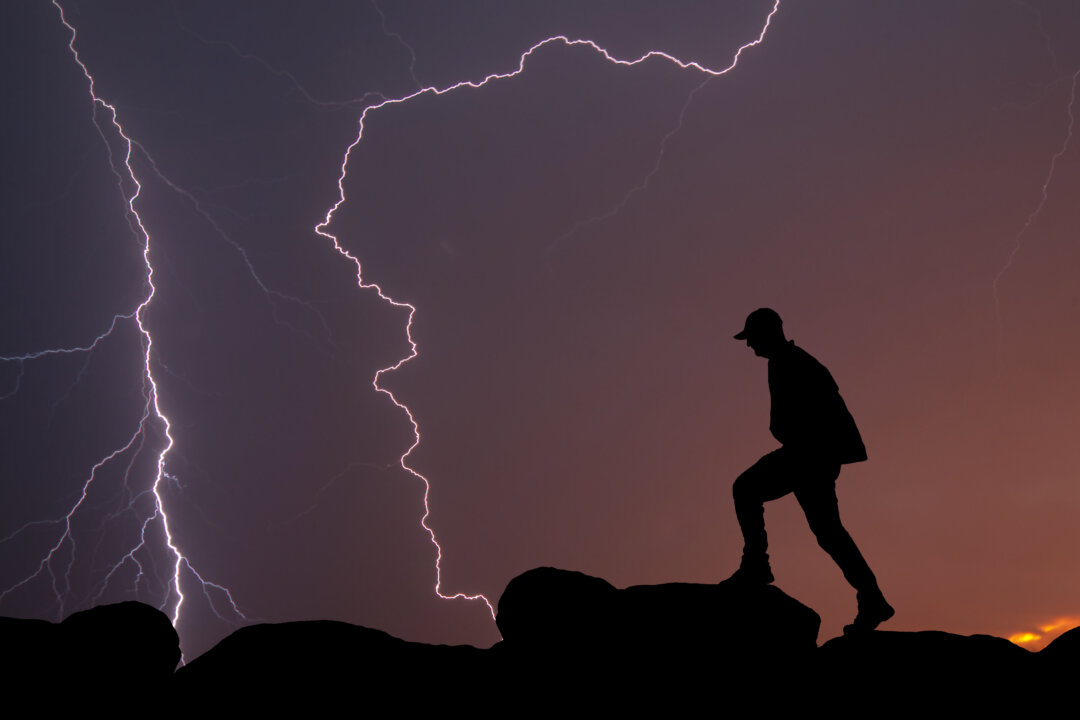 (Sari ONeal/Shutterstock)