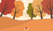 Fall Is the Season of Letting Go