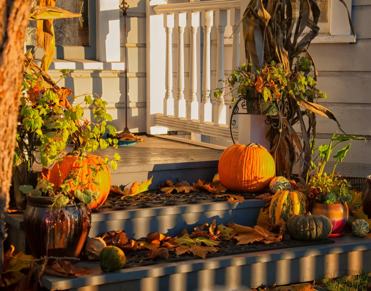 All the things about the home that make it so warm and inviting to us also make it equally appealing to critters. (Craig Dimmick/Unsplash)