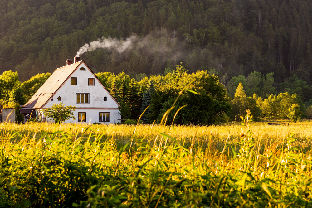 Damaged chimney caps should be replaced before rodents or other creatures get in.(Lena Ivanova/Shutterstock)