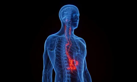 The Heart’s Hidden Exercise Partner: The Vagus Nerve