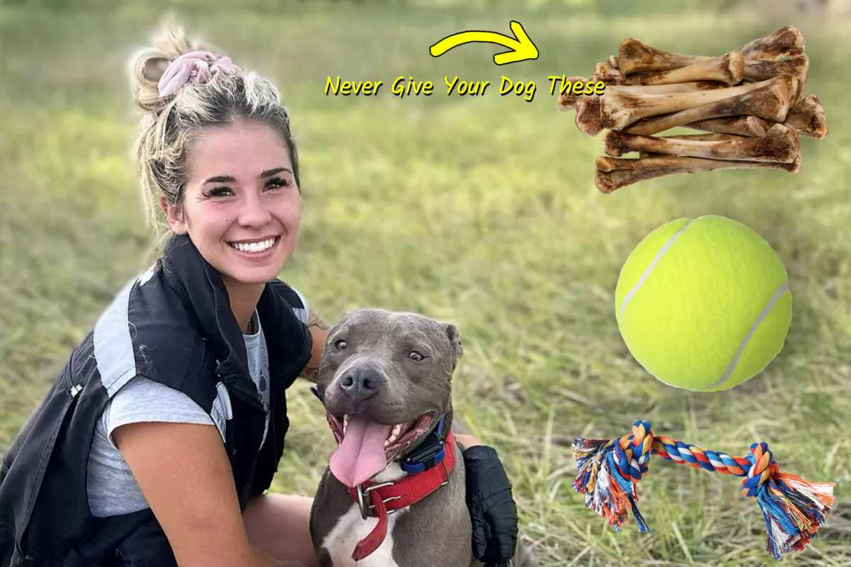 (Courtesy of Top Paw K9 Academy)
