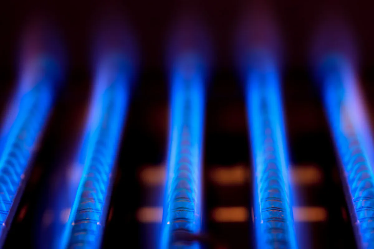 The blue flames of natural gas burning inside a boiler furnace, in a file photo. (Dmitry Naumov/Shutterstock)