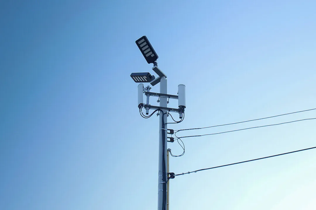 (Shutterstock/kaninw)