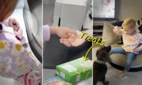 6-Year-Old Shops for First Time With Own Money—Selflessly Only Buys Treats for Her 2 Elderly Dogs