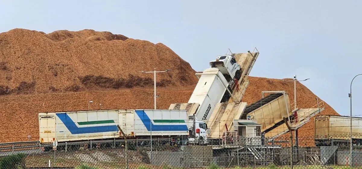 A stack of wood chips can be seen behind trucks having their loads tipped out at Albany Port, Western Australia, on Oct. 2, 2023. (Susan Mortimer/The Epoch Times)