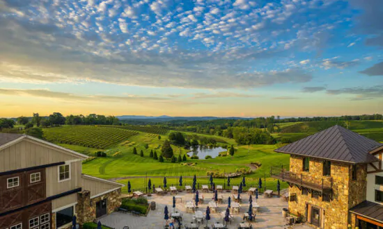 Virginia Is for Lovers … of Wine and Autumn Leaves