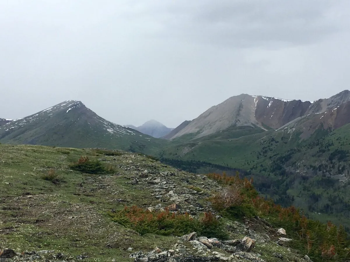 Divide Pass in the backcountry of Banff National Park is shown on July 3, 2019. (The Canadian Press/Colette Derworiz)