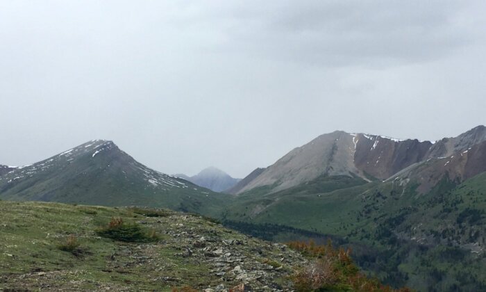 Couple Killed by Bear in Banff National Park Experienced in Outdoors: Family Friend