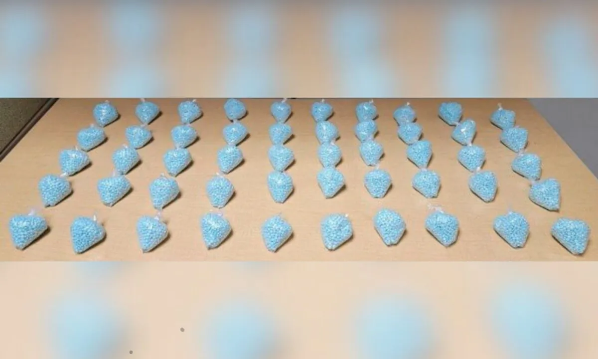 Quantities of various types of drugs were seized, as well as over 25 suspects arrested and 30 weapons taken during a three-month crackdown in the Harbor area of Los Angeles, according to a statement from California Attorney General Rob Bonta on Oct. 2, 2023. (Courtesy of California Attorney General's Office)