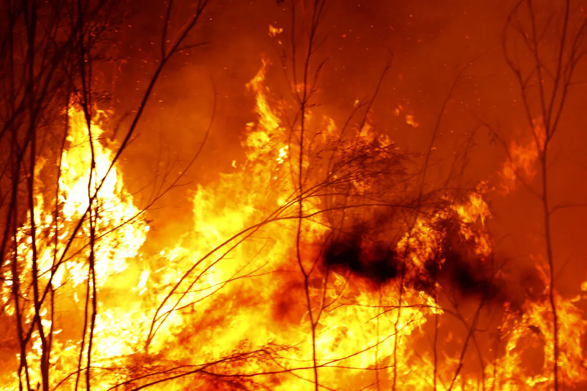 Bushfires burn between the townships of Bemm River and Cann River in eastern Gippsland, Australia, on Jan. 2, 2020. (Darrian Traynor/Getty Images)