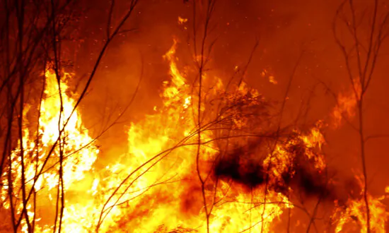 Bushfires Triple in Size Near Victoria’s East Coast