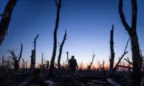 Ukraine Admits Limited Retreat After Key Donetsk Town Falls to Russian Forces 
