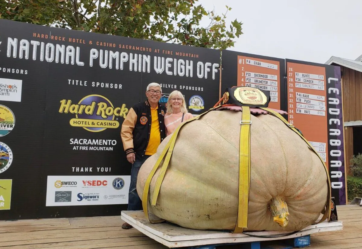 British Columbia couple Dave Chan and Janet Love pose with "Mama," their 2,212-pound pumpkin that won the National Pumpkin Weigh Off in Wheatland, Calif., on Sept. 30, 2023. (The Canadian Press)
