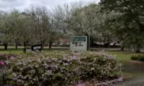 Georgia High School Football Player Dies After Falling Ill on Sidelines, District Says
