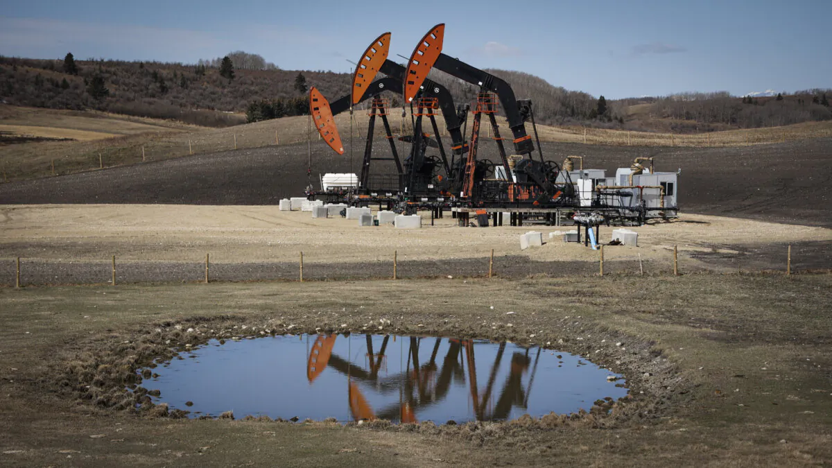 Pumpjacks draw out oil and gas from wellheads near Calgary on April 28, 2023. As the price of oil falls, risks to the Canadian economy mount. (The Canadian Press/Jeff McIntosh)