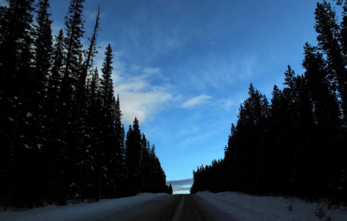 A snow covered road leads up a hill at dusk in Banff National Park near Lake Louise, Alberta, on Dec. 2, 2011. (Reuters/Mike Blake)