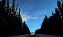 Canada Grizzly Bear Attack Victims Were on Permitted Hike, Carrying Bear Spray
