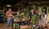 ‘Dig’: About Blame, Forgiveness, and Potted Plants