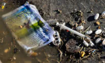Nearly 1 in 5 Americans Above 12 Years of Age Suffering From Substance Use Disorder: Report