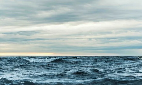 ‘Ocean Rights’ Earth Religion Advances in the UN