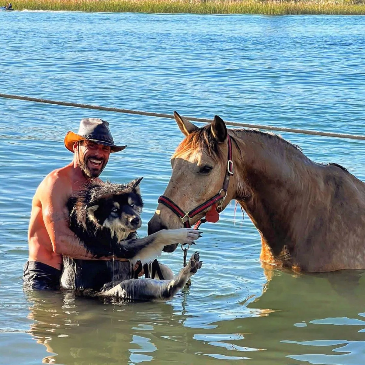Matt Perella takes a swim with his dog, Raffe, and horse, Buck, in the Colorado River in Parker, Ariz., on April 29, 2023. (Courtesy of Matt Perella)