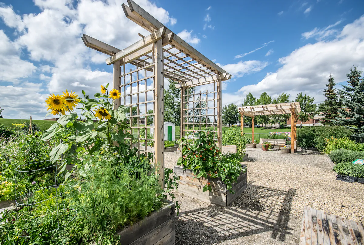 Building a trellis is a great project for someone just getting started with DIY landscaping and woodworking projects. (Sam and Brian/Shutterstock)