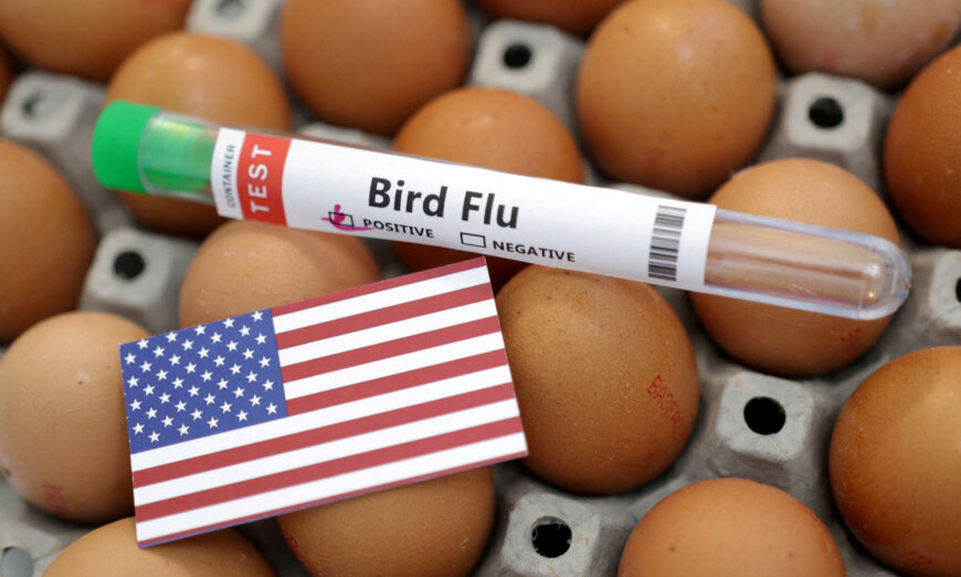 Bird flu infects US poultry flock, first time since April.
