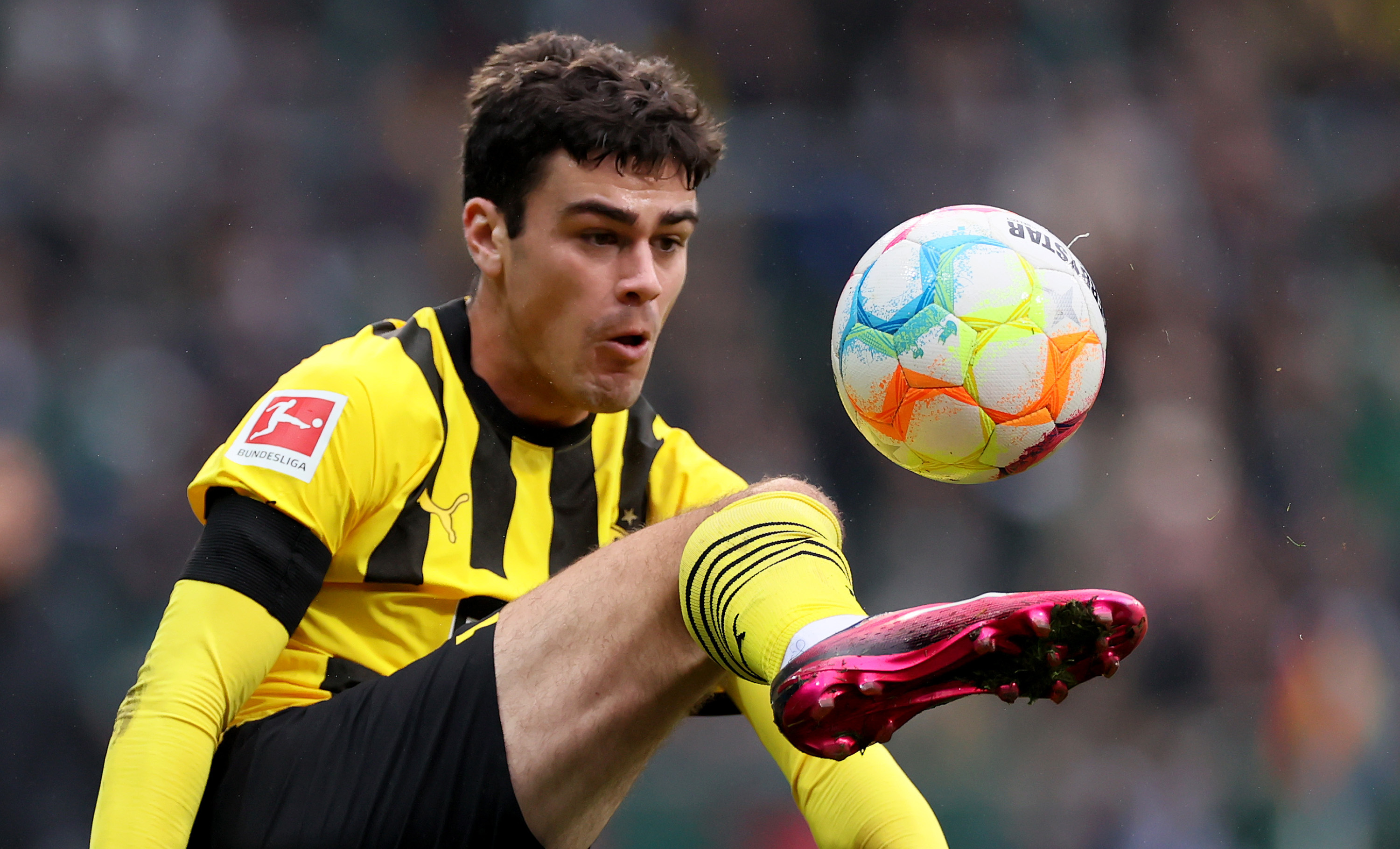 Berhalter Speaks With Gio Reyna for First Time Since Family Feud ...