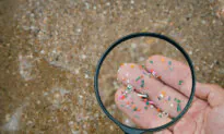 Microplastics Can Find Their Way Into Human Tissues and Cause Bodily Harm
