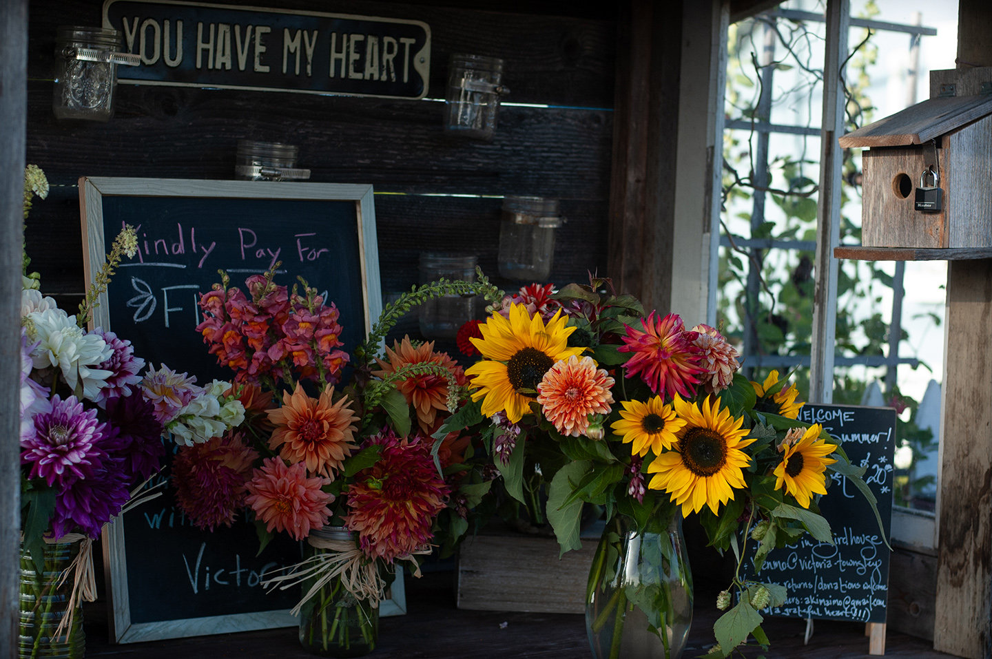 Flower bouquets