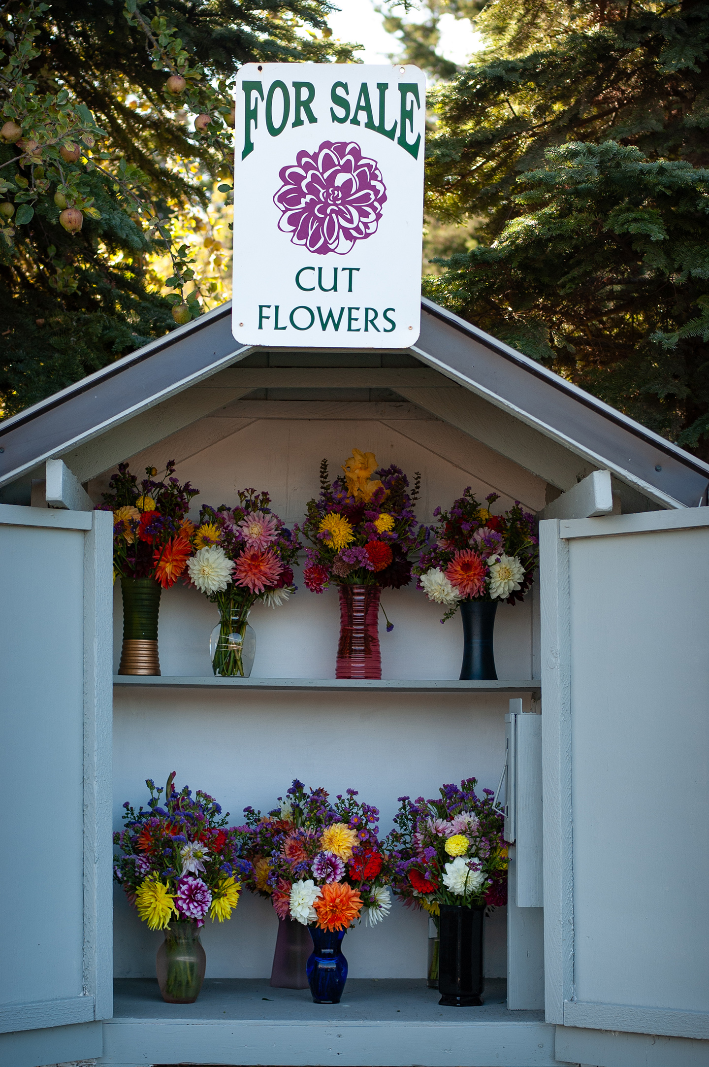 Flower bouquets
