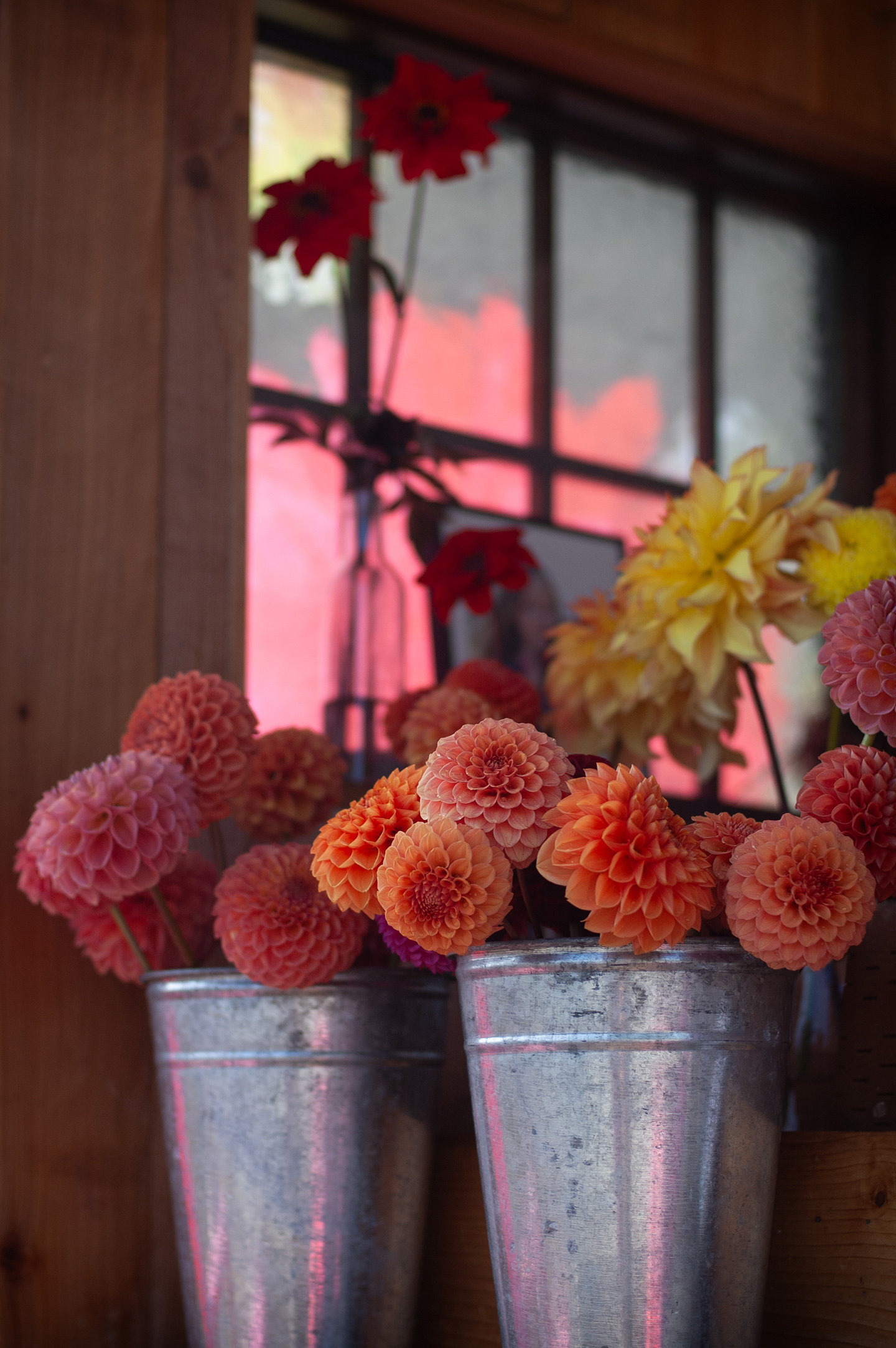 River Road flower farm
