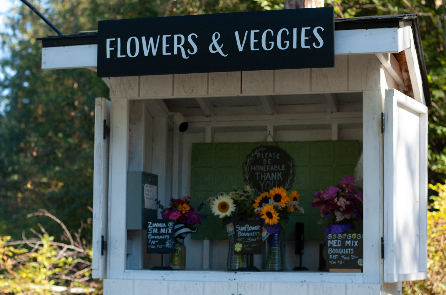 Shooting star garden flower stand