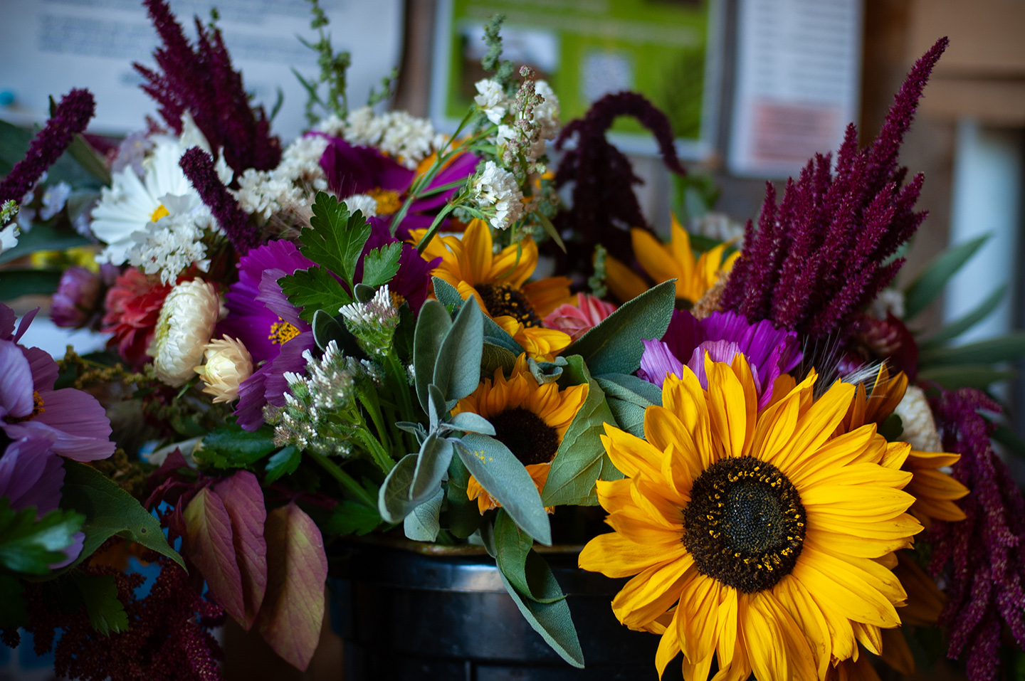 Chi's FFarm Flowers
