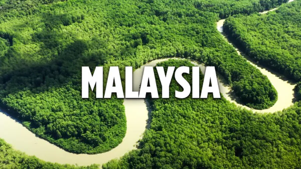 Best Morning Relaxation Music: Malaysia | Simple Happiness