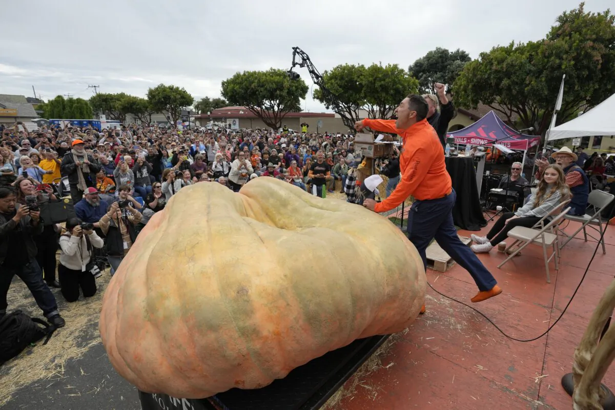Travis Gienger reacts after winning the Safeway 50th annual World Championship Pumpkin Weigh-Off in Half Moon Bay, Calif., on Oct. 9, 2023. (Eric Risberg/AP Photo)