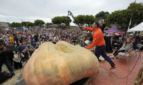 Pumpkin Weighing 2,749 Pounds Wins California Contest, Sets World Record for Biggest Gourd