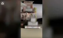 First Shipment of US Armaments Arrives in Israel Amidst Escalating Conflict with Hamas