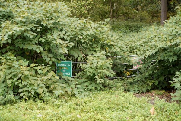 Epoch Times Photo
