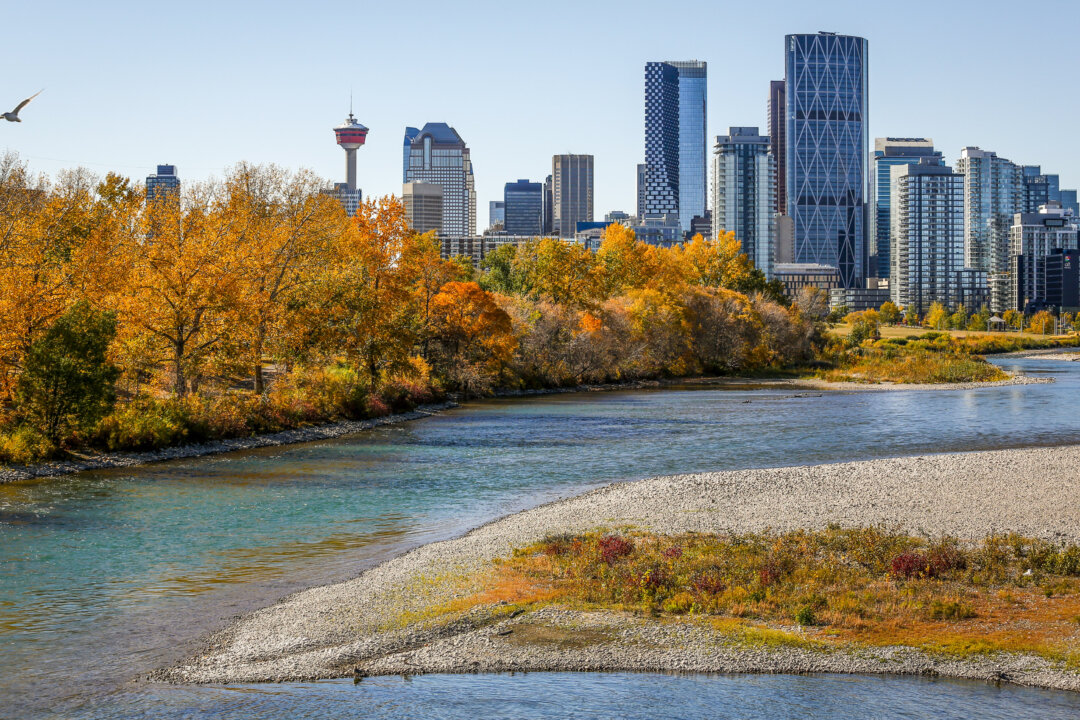 Calgarians Remain Resilient Despite Declining Quality of Life, Survey Suggests