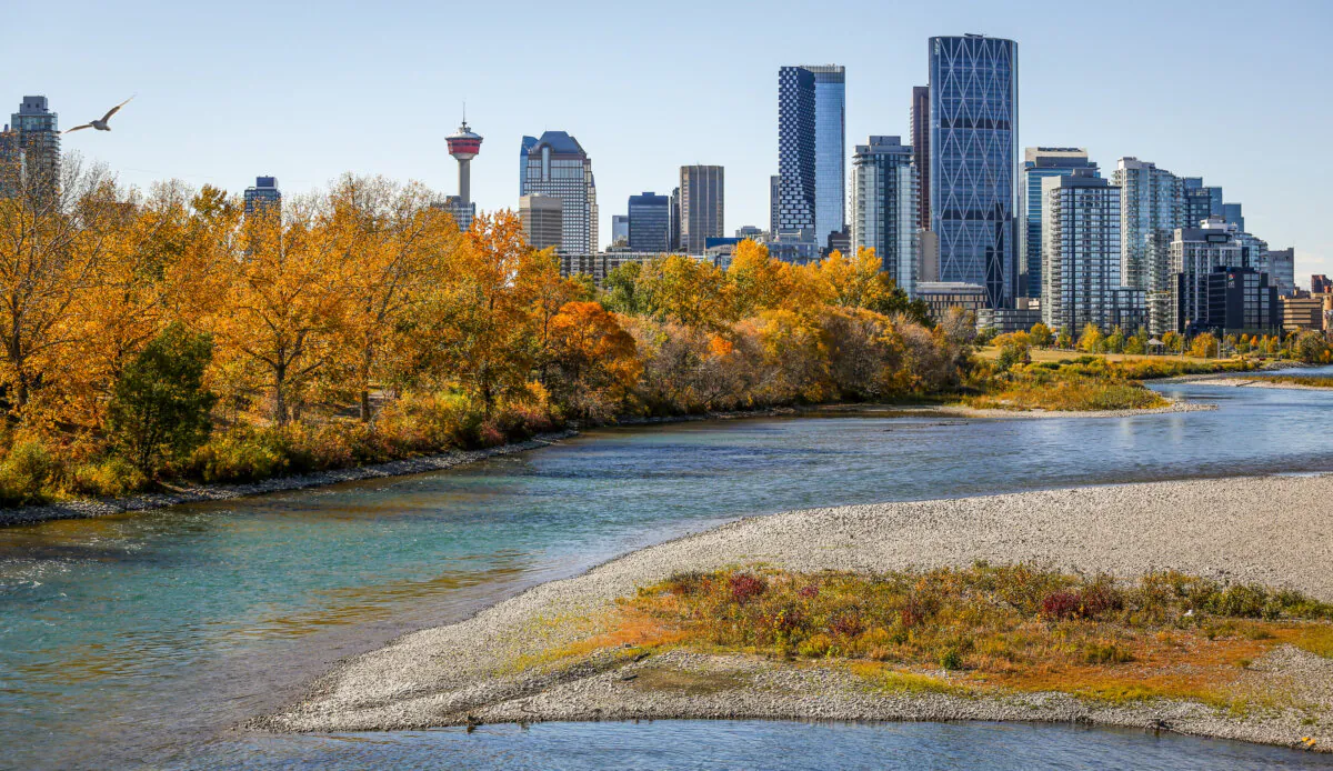 The Bow River flows through downtown Calgary in a file photo. (The Canadian Press/Jeff McIntosh)