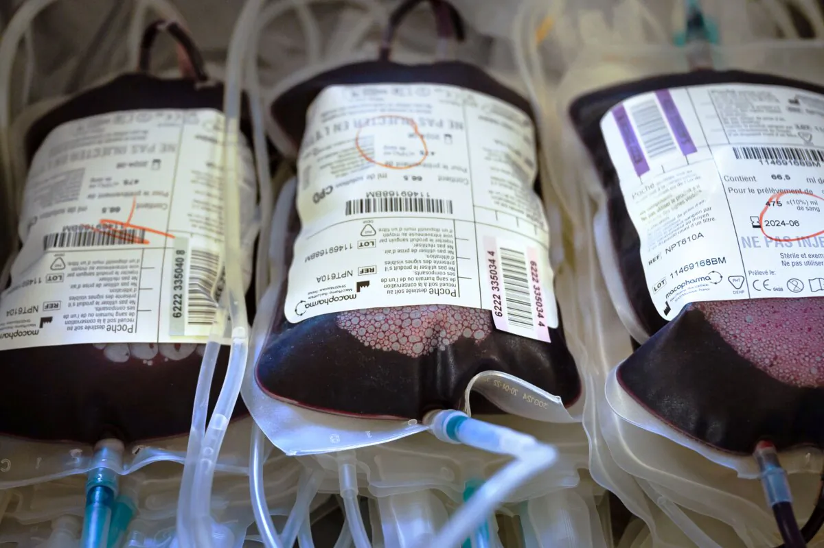 Bags of human blood donated during a blood drive organized by the French blood agency and the National Opera of Bordeaux in Bordeaux, southwestern France, on Dec. 7, 2022. (Philippe Lopez/ AFP via Getty Images)