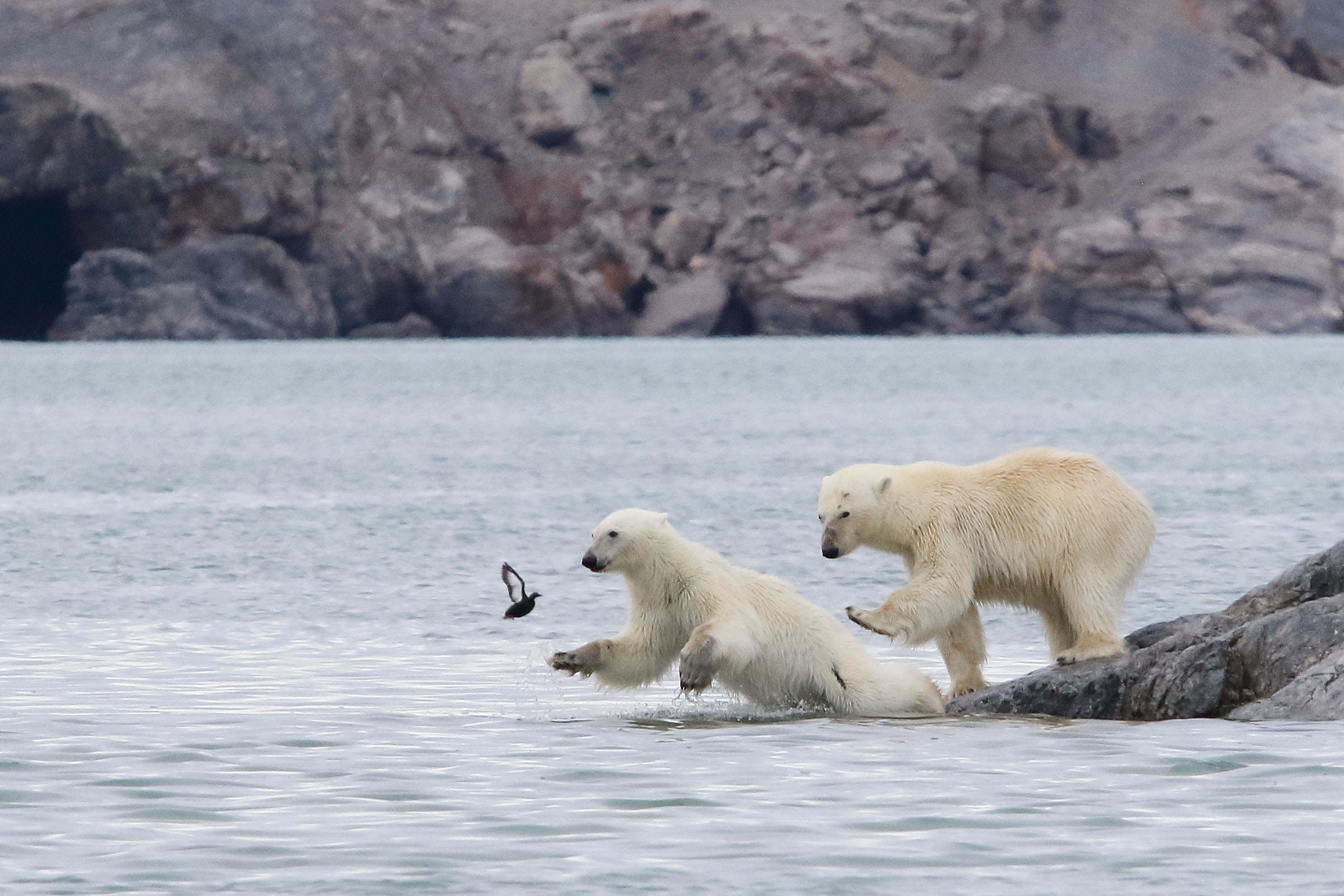 Epoch Times Photo