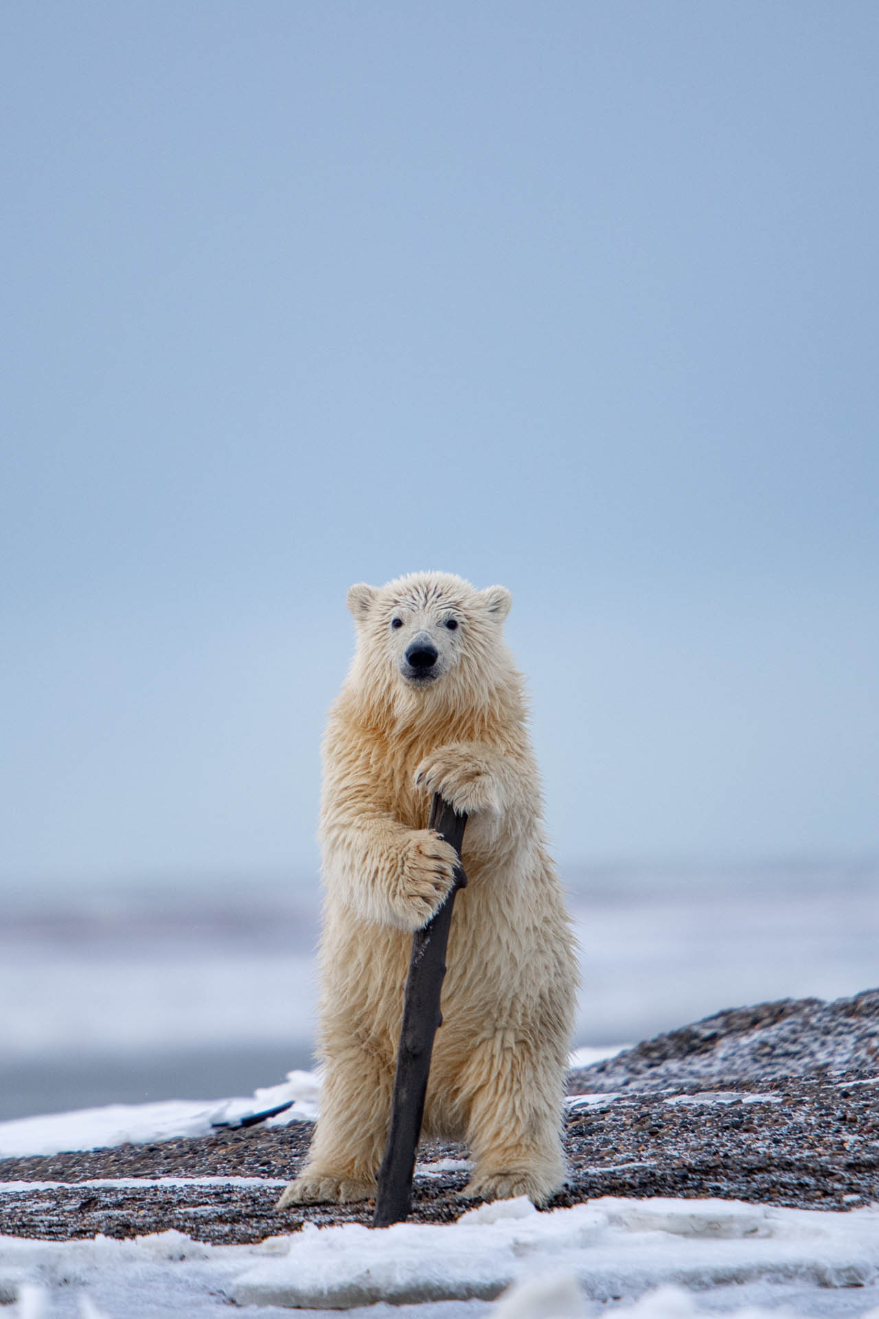 Epoch Times Photo