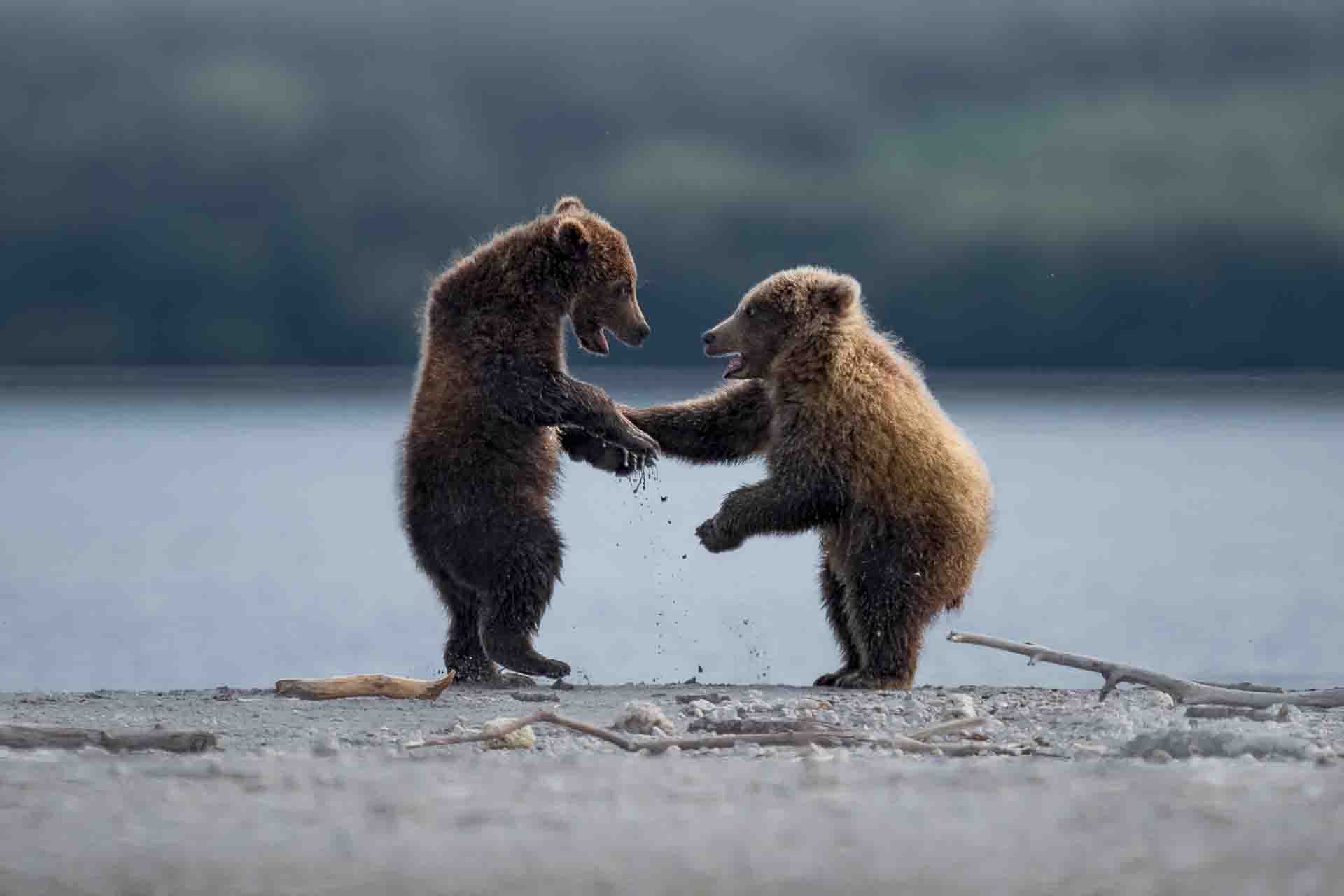 Epoch Times Photo