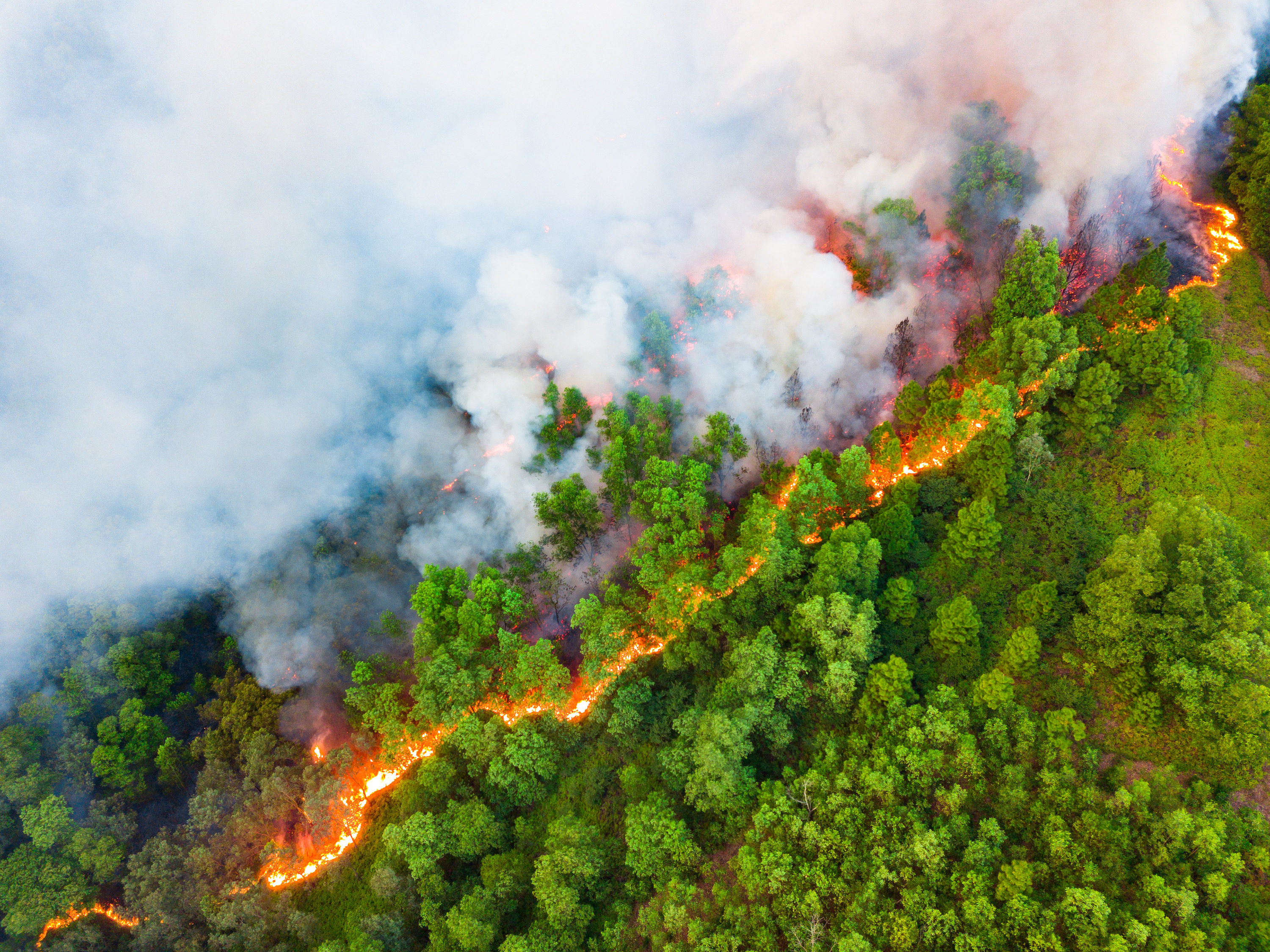 "Forest Fire Boundary' that was shot by Tran Tuan of Vietnam bagged the title Standard Chartered Weather Photographer of the Year 2023 title Runner up – 2nd Place. Mr. Tuan used a drone to capture the devastating effect of a forest fire in Bac Giang province. 