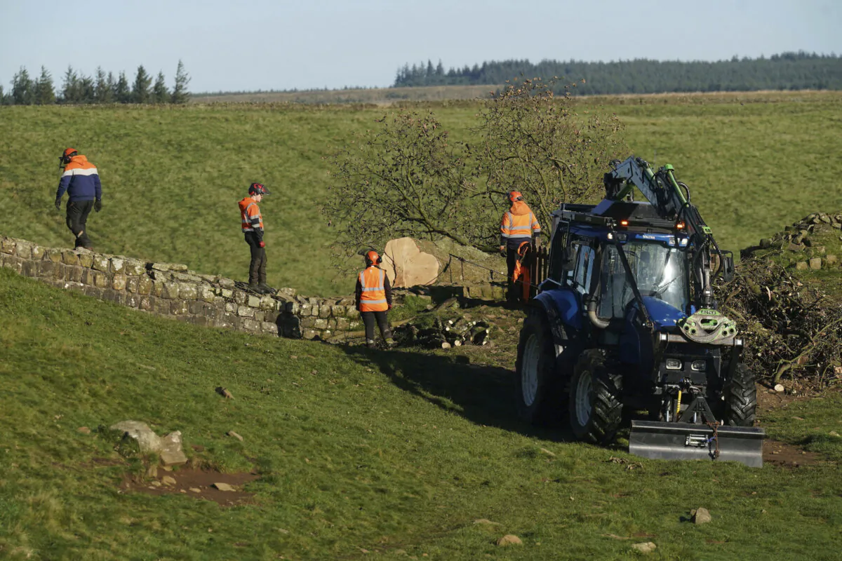 Work begins on the removal of the felled Sycamore Gap tree on Hadrian's Wall in Northumberland, England, on Oct. 12, 2023. (Owen Humphreys/PA via AP)