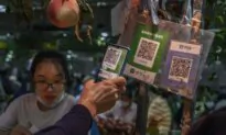 US Lawmakers Alarmed Over China’s Global Payments Market Dominance